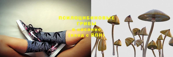 героин Алексин