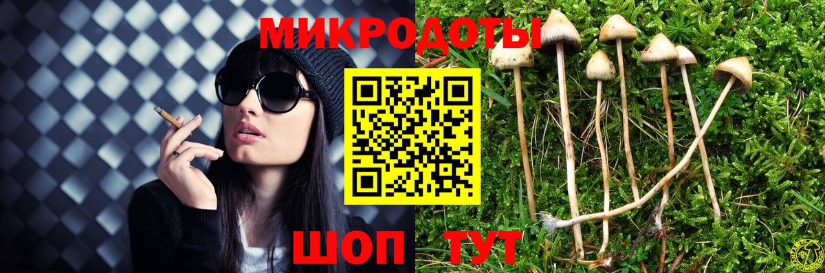 Галлюциногенные грибы Psilocybe  Псилоцибиновые грибы прущие грибы  Вход с VPN  Клин 